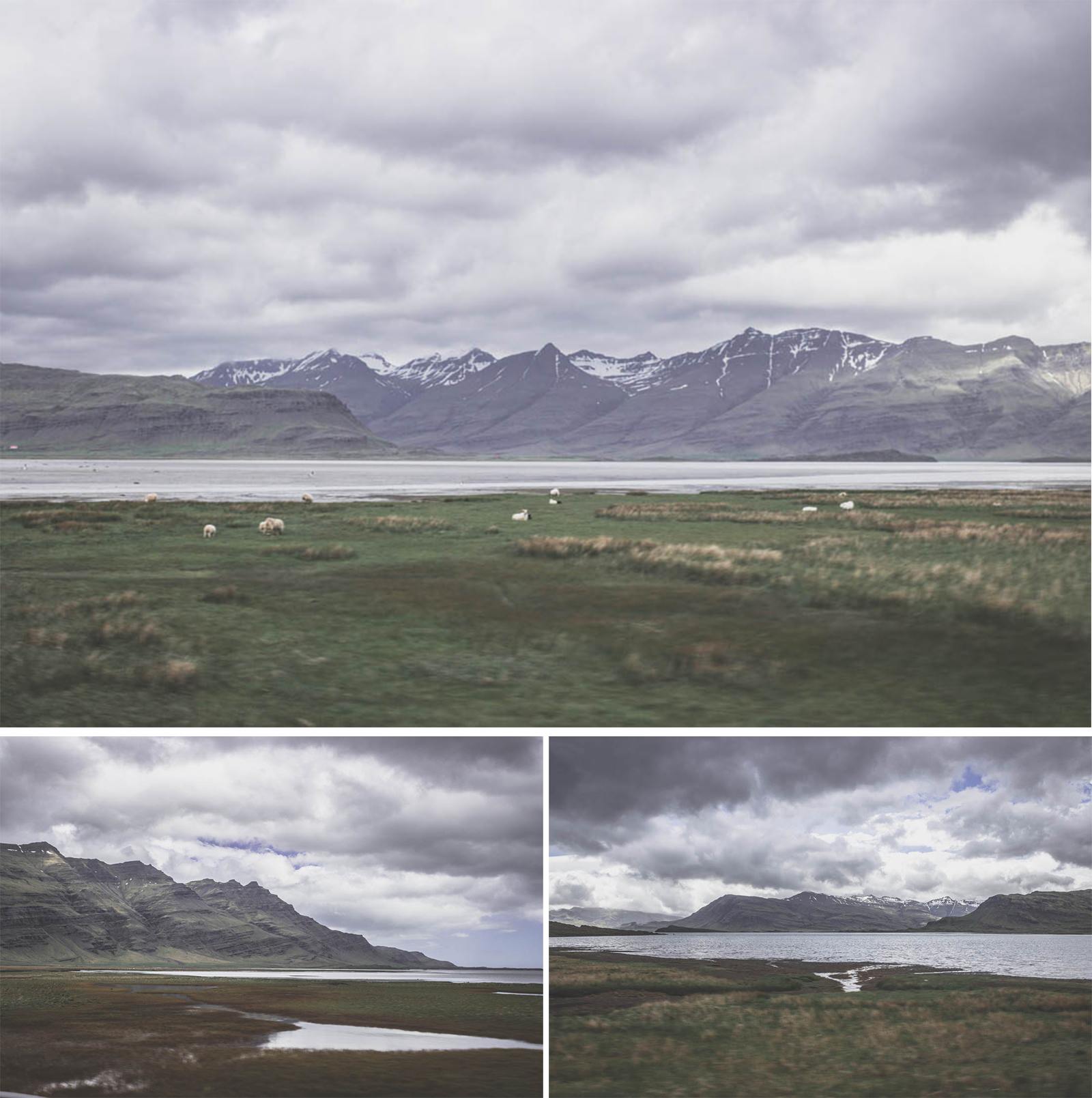 fjords de l'est 