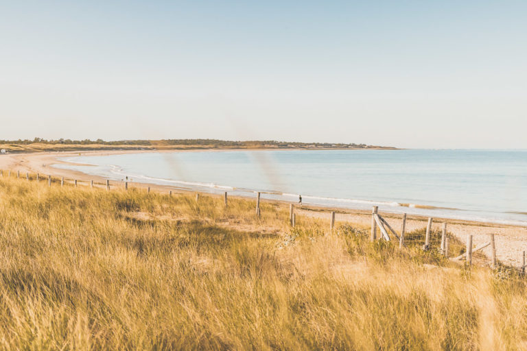 Que faire sur l'Ile d'Oléron ? Les plus beaux endroits — Prochains Détours