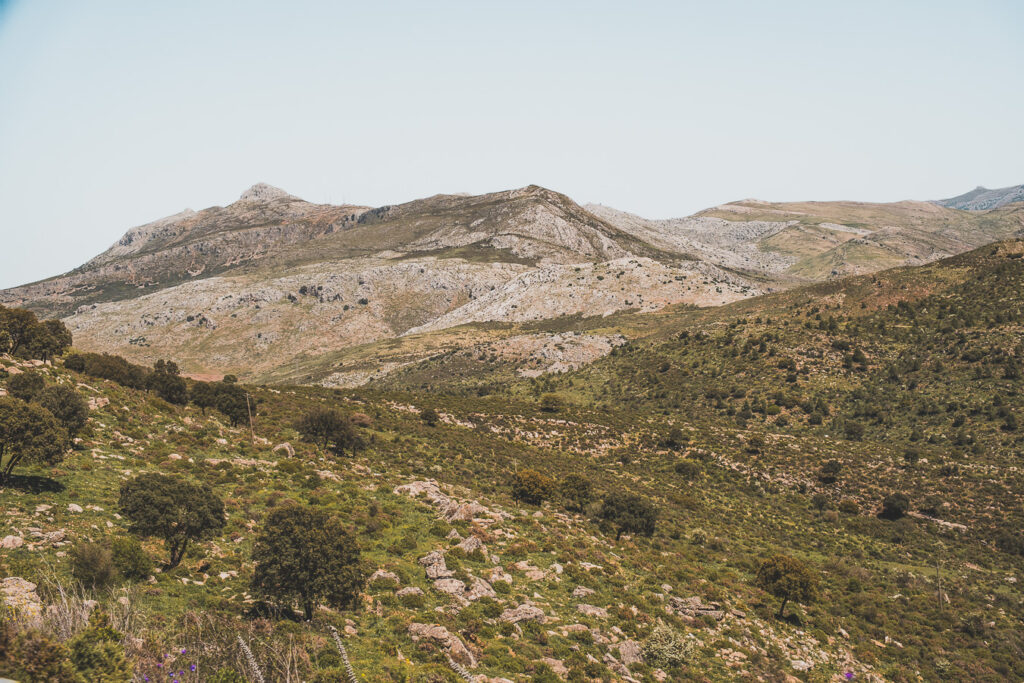 paysage andalous
