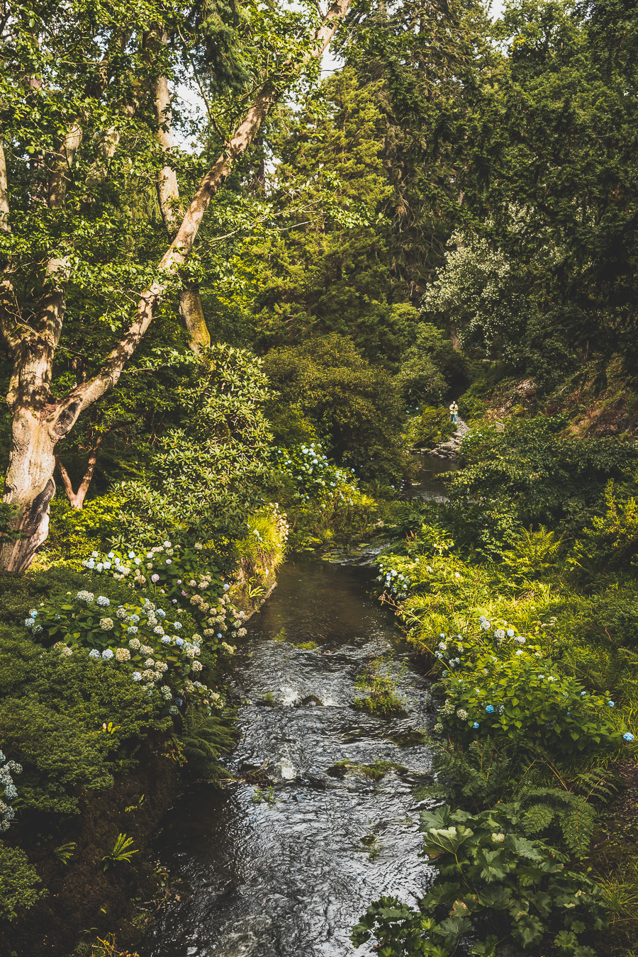 Bodnant Gardens