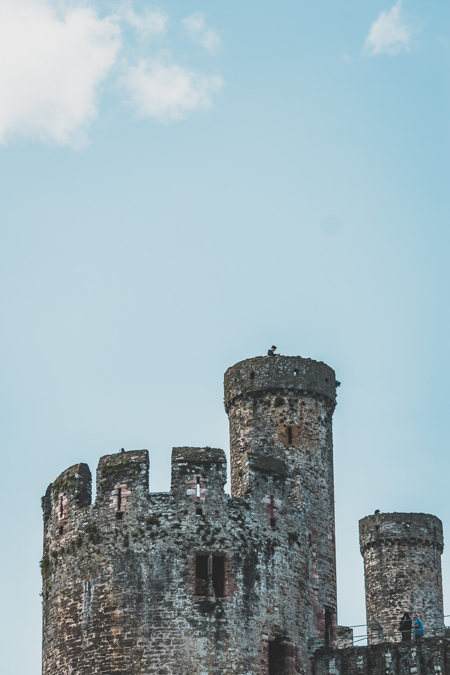 Conwy castle