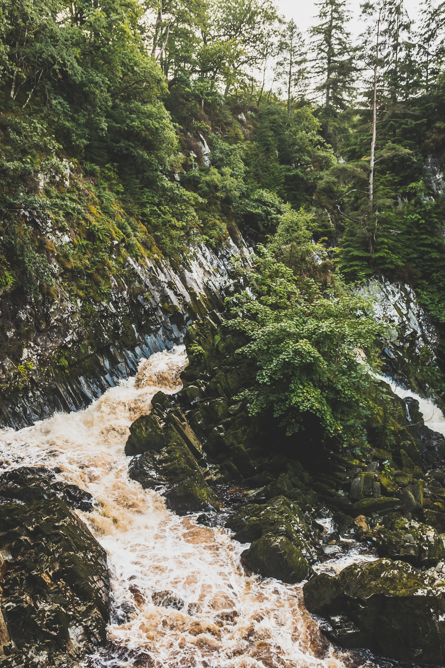 Conwy Falls