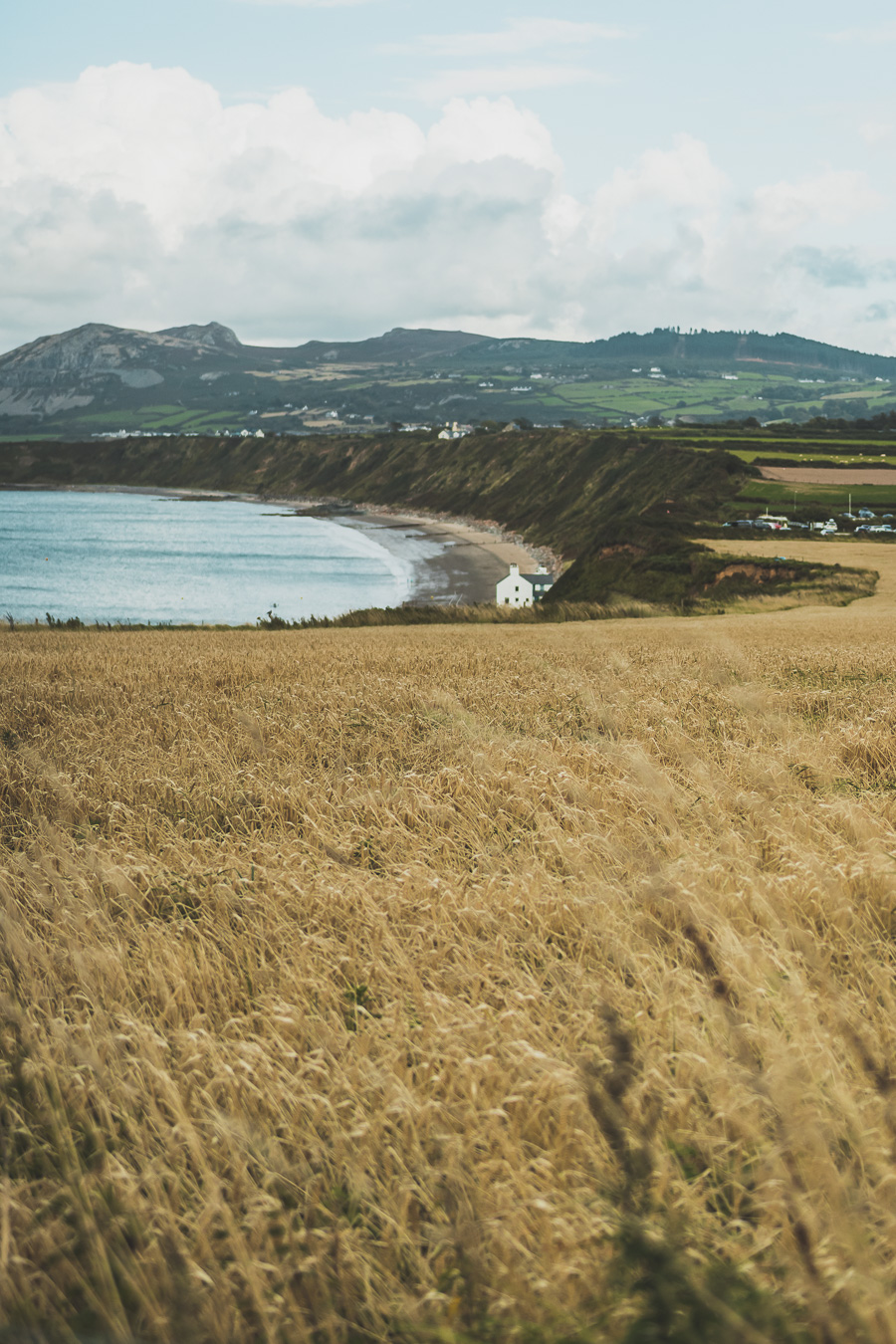 Découvrez le road trip en van ultime à travers la Grande-Bretagne ! Parcourez les paysages époustouflants du Pays de Galles, explorez ses monuments historiques et vivez l'aventure Vanlife. Parfait pour les voyageurs, couples, familles et amis en quête de liberté et de découverte. En route pour un voyage inoubliable à travers l'Europe ! Cliquez pour découvrir nos itinéraires, astuces et conseils pour un road trip parfait au Royaume-Uni. Ne manquez pas cette occasion de créer des souvenirs incroyables !