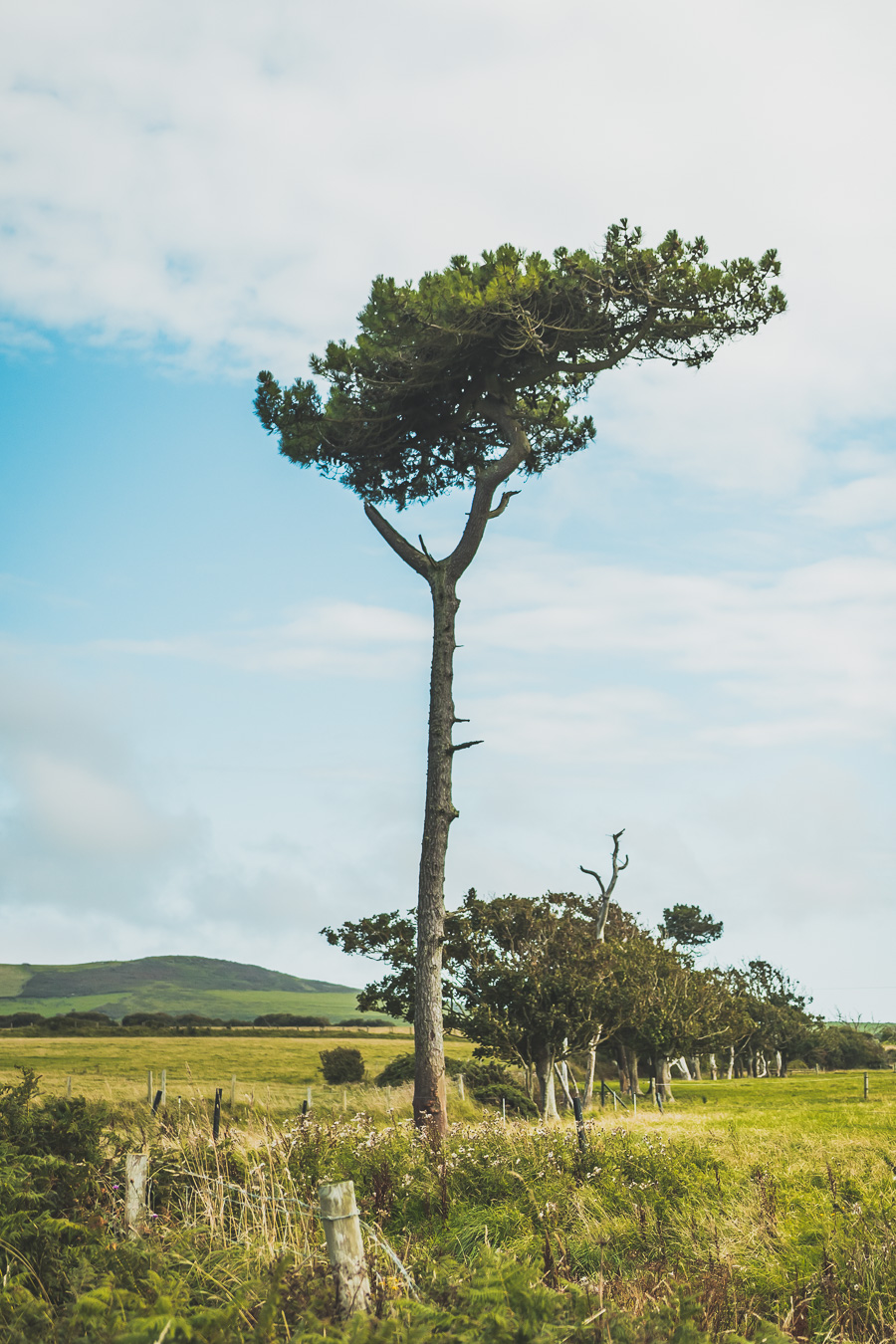 Découvrez le road trip en van ultime à travers la Grande-Bretagne ! Parcourez les paysages époustouflants du Pays de Galles, explorez ses monuments historiques et vivez l'aventure Vanlife. Parfait pour les voyageurs, couples, familles et amis en quête de liberté et de découverte. En route pour un voyage inoubliable à travers l'Europe ! Cliquez pour découvrir nos itinéraires, astuces et conseils pour un road trip parfait au Royaume-Uni. Ne manquez pas cette occasion de créer des souvenirs incroyables !