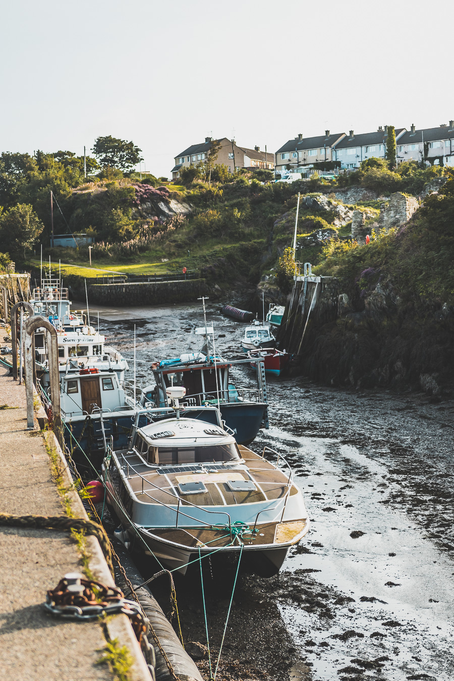 Découvrez le road trip en van ultime à travers la Grande-Bretagne ! Parcourez les paysages époustouflants du Pays de Galles, explorez ses monuments historiques et vivez l'aventure Vanlife. Parfait pour les voyageurs, couples, familles et amis en quête de liberté et de découverte. En route pour un voyage inoubliable à travers l'Europe ! Cliquez pour découvrir nos itinéraires, astuces et conseils pour un road trip parfait au Royaume-Uni. Ne manquez pas cette occasion de créer des souvenirs incroyables !