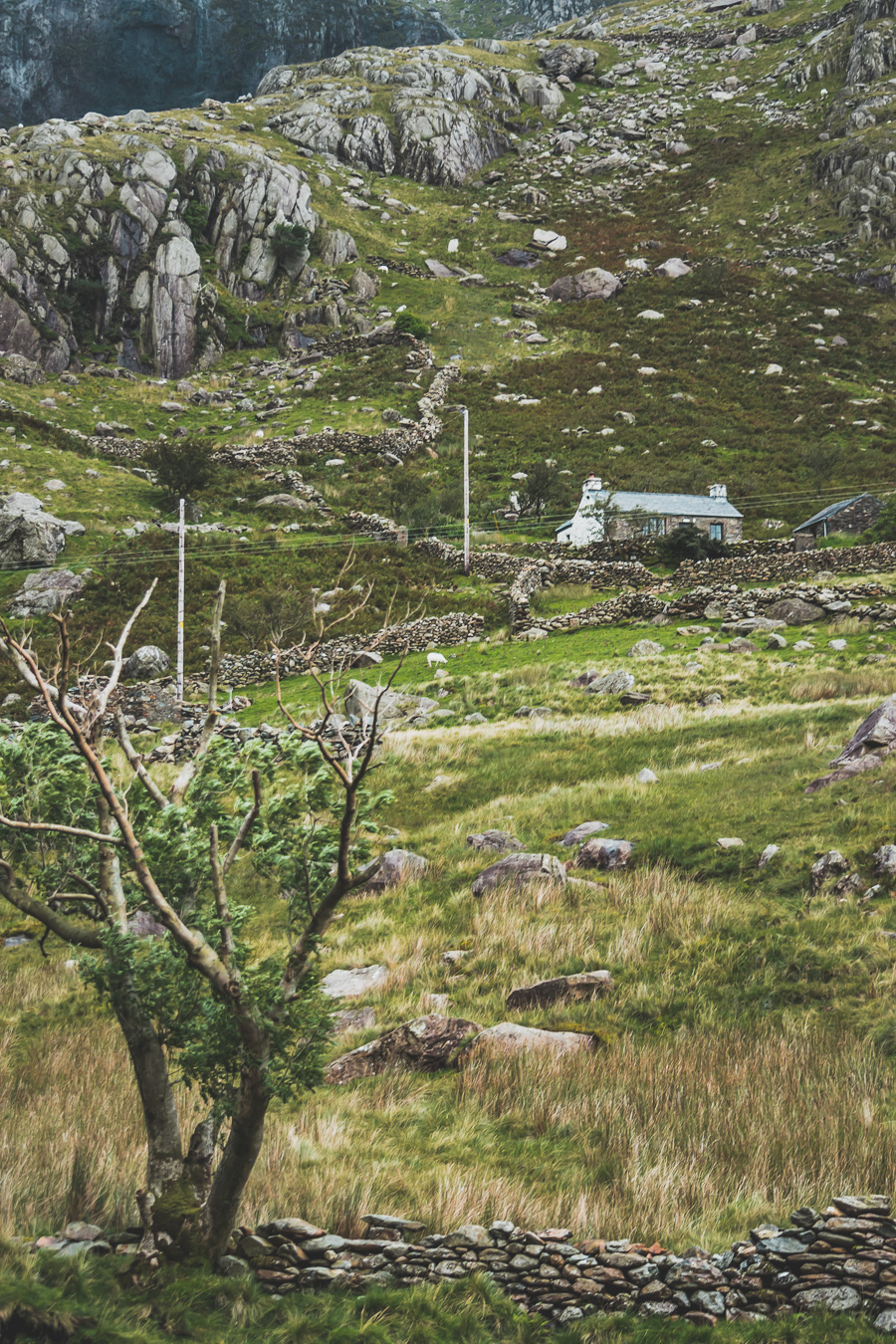 Découvrez le road trip en van ultime à travers la Grande-Bretagne ! Parcourez les paysages époustouflants du Pays de Galles, explorez ses monuments historiques et vivez l'aventure Vanlife. Parfait pour les voyageurs, couples, familles et amis en quête de liberté et de découverte. En route pour un voyage inoubliable à travers l'Europe ! Cliquez pour découvrir nos itinéraires, astuces et conseils pour un road trip parfait au Royaume-Uni. Ne manquez pas cette occasion de créer des souvenirs incroyables !