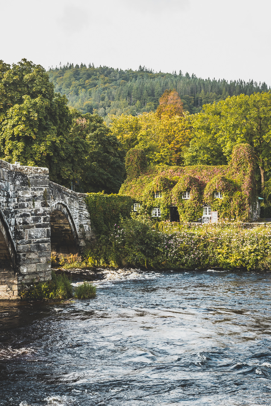 Découvrez le road trip en van ultime à travers la Grande-Bretagne ! Parcourez les paysages époustouflants du Pays de Galles, explorez ses monuments historiques et vivez l'aventure Vanlife. Parfait pour les voyageurs, couples, familles et amis en quête de liberté et de découverte. En route pour un voyage inoubliable à travers l'Europe ! Cliquez pour découvrir nos itinéraires, astuces et conseils pour un road trip parfait au Royaume-Uni. Ne manquez pas cette occasion de créer des souvenirs incroyables !