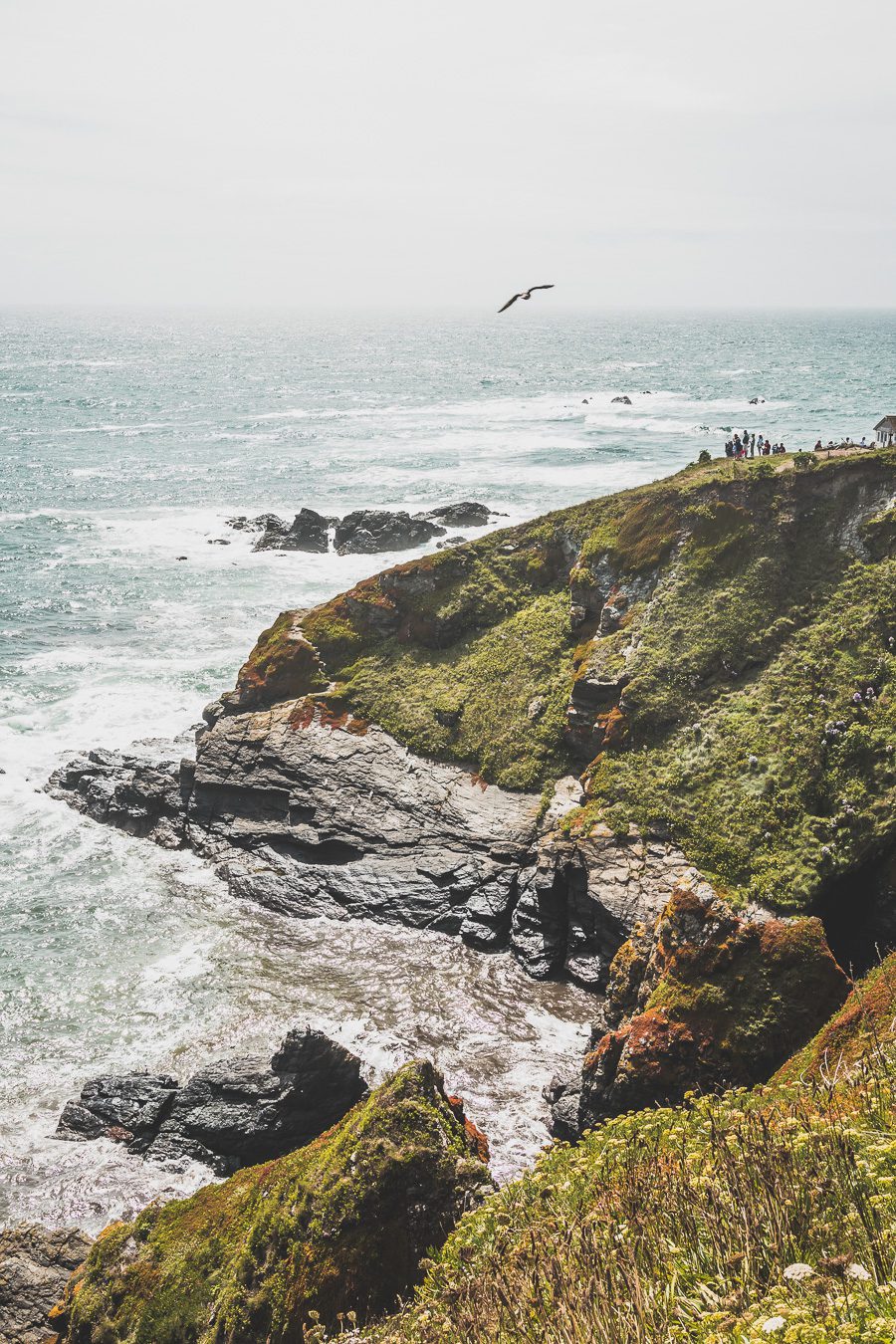 Découvrez les trésors du Sud de l'Angleterre en road trip ! De la beauté des Cotswolds aux falaises du Dorset, explorez des paysages à couper le souffle, des villages charmants et des monuments emblématiques. En van ou en voiture, laissez-vous séduire par la magie des Cornouailles et du Devon. Préparez-vous à des aventures mémorables et des panoramas incroyables. Cliquez pour trouver les meilleurs itinéraires et conseils pratiques pour un voyage inoubliable !