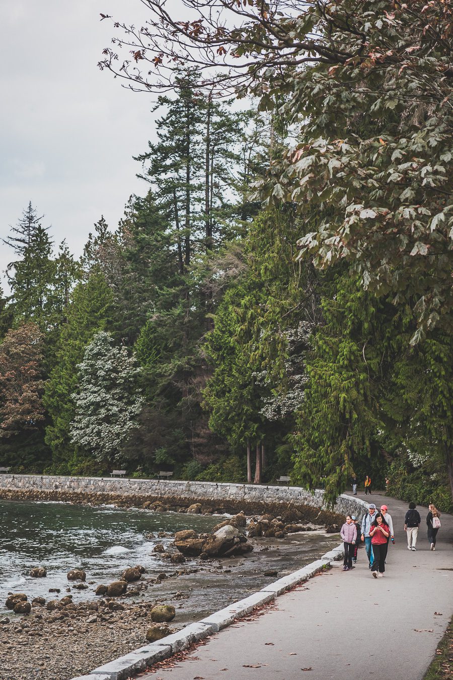 Découvrez Vancouver en seulement 1 jour ! Entre ses paysages à couper le souffle, ses parcs verdoyants et ses quartiers vibrants, cette ville iconique du Canada vous promet une escapade mémorable. Que voir, où aller, comment optimiser votre temps ? Suivez notre guide pour un city trip parfait en Amérique du Nord. Préparez-vous à explorer les incontournables de Vancouver et à vivre une journée riche en découvertes. Cliquez ici pour tous nos conseils et astuces !