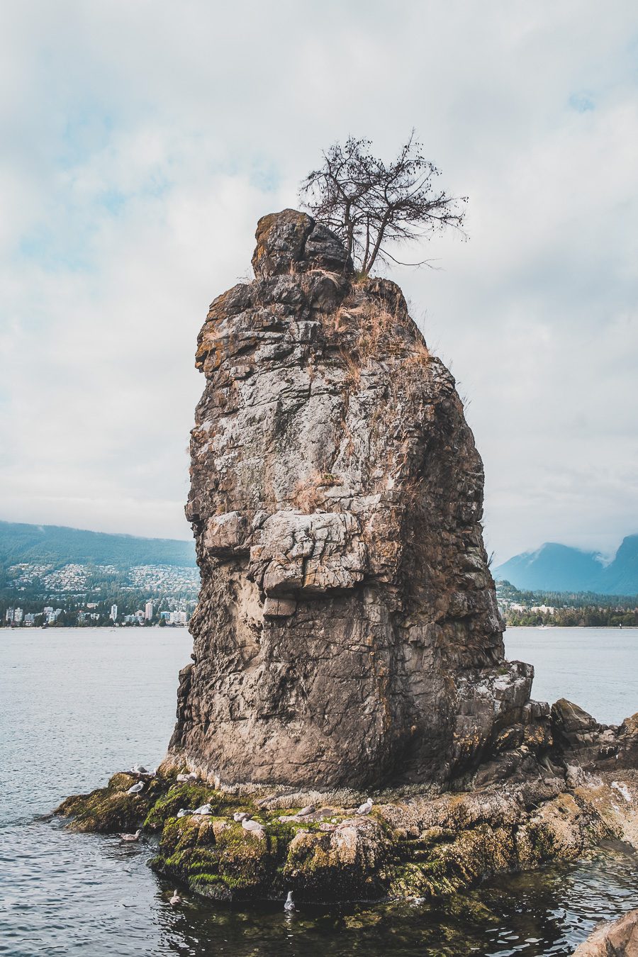 Découvrez Vancouver en seulement 1 jour ! Entre ses paysages à couper le souffle, ses parcs verdoyants et ses quartiers vibrants, cette ville iconique du Canada vous promet une escapade mémorable. Que voir, où aller, comment optimiser votre temps ? Suivez notre guide pour un city trip parfait en Amérique du Nord. Préparez-vous à explorer les incontournables de Vancouver et à vivre une journée riche en découvertes. Cliquez ici pour tous nos conseils et astuces !