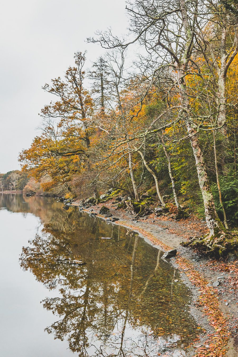 🌍 Partez en road trip en Angleterre ! 🏞️ Explorez les paysages époustouflants des Cotswolds, les plages de rêve en Cornouailles, et les charmants villages du Dorset et du Devon. 🚐 Parfait pour les vanlifers, couples, familles ou amis, partez à l’aventure au Royaume-Uni et créez des souvenirs magiques. 🌅 Cliquez pour planifier votre voyage en Angleterre dès maintenant et vivez une escapade unique en Europe ! 🗺️✨