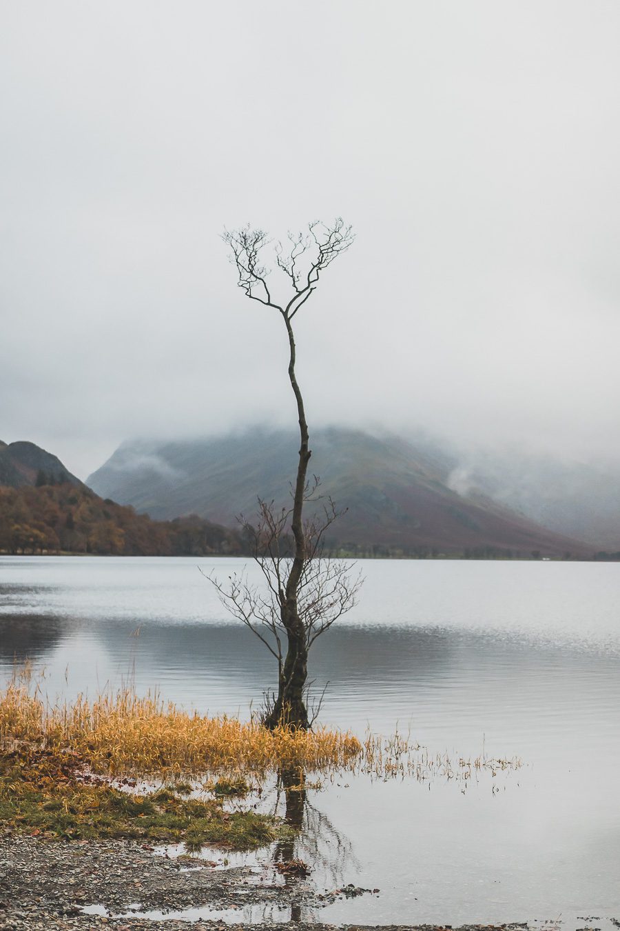 Lake district