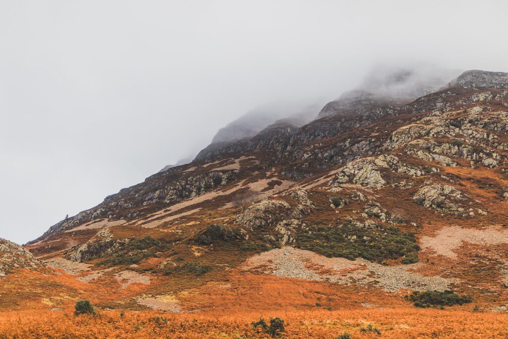 Lake district