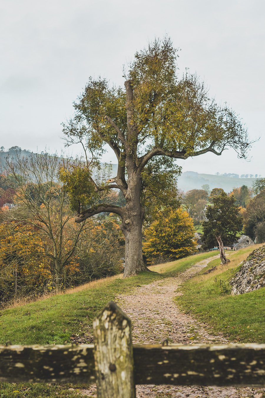 Découvrez les merveilles de l’Angleterre à travers un road trip inoubliable ! Parcourez le Nord de l’Angleterre, explorez le Lake District et le Peak District, et laissez-vous séduire par les paysages époustouflants et monuments emblématiques du Royaume-Uni. Que vous soyez en van, en famille ou entre amis, ce voyage promet des souvenirs uniques. Cliquez pour préparer votre prochaine aventure et vivez la magie d’un road trip en Europe dès maintenant !