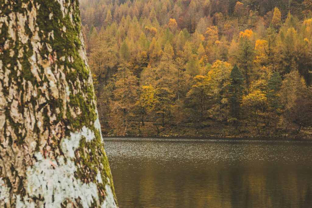 Buttermere