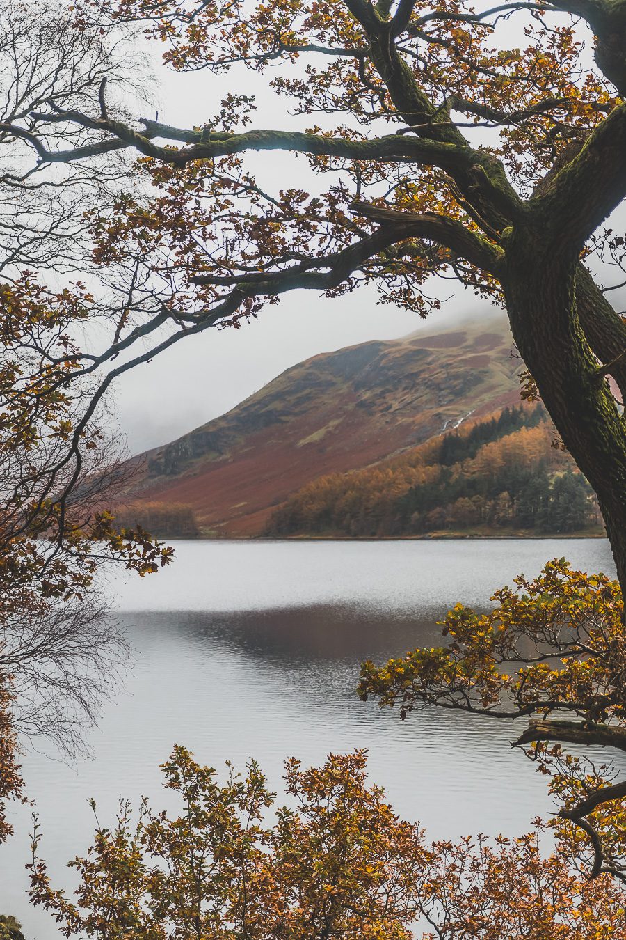 Découvrez les merveilles de l’Angleterre à travers un road trip inoubliable ! Parcourez le Nord de l’Angleterre, explorez le Lake District et le Peak District, et laissez-vous séduire par les paysages époustouflants et monuments emblématiques du Royaume-Uni. Que vous soyez en van, en famille ou entre amis, ce voyage promet des souvenirs uniques. Cliquez pour préparer votre prochaine aventure et vivez la magie d’un road trip en Europe dès maintenant !