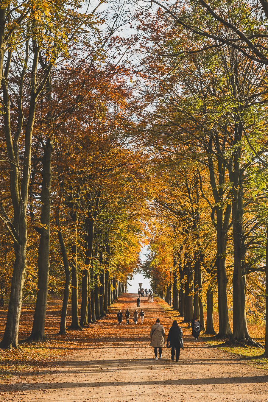 Découvrez les merveilles de l’Angleterre à travers un road trip inoubliable ! Parcourez le Nord de l’Angleterre, explorez le Lake District et le Peak District, et laissez-vous séduire par les paysages époustouflants et monuments emblématiques du Royaume-Uni. Que vous soyez en van, en famille ou entre amis, ce voyage promet des souvenirs uniques. Cliquez pour préparer votre prochaine aventure et vivez la magie d’un road trip en Europe dès maintenant !