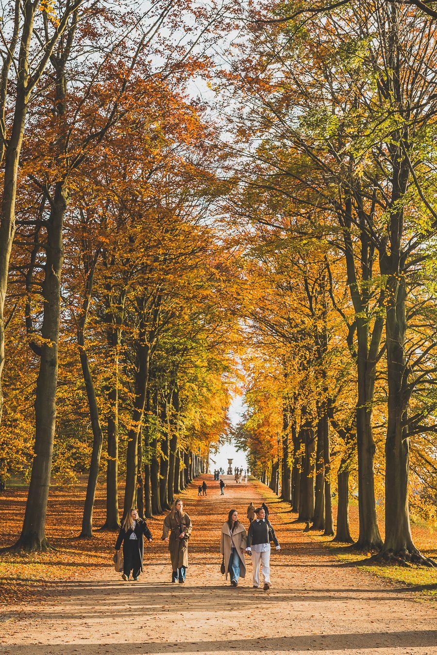 Découvrez les merveilles de l’Angleterre à travers un road trip inoubliable ! Parcourez le Nord de l’Angleterre, explorez le Lake District et le Peak District, et laissez-vous séduire par les paysages époustouflants et monuments emblématiques du Royaume-Uni. Que vous soyez en van, en famille ou entre amis, ce voyage promet des souvenirs uniques. Cliquez pour préparer votre prochaine aventure et vivez la magie d’un road trip en Europe dès maintenant !