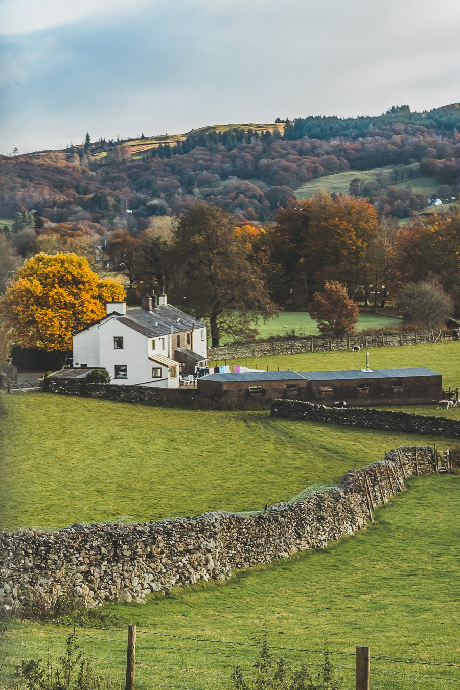 Découvrez les merveilles de l’Angleterre à travers un road trip inoubliable ! Parcourez le Nord de l’Angleterre, explorez le Lake District et le Peak District, et laissez-vous séduire par les paysages époustouflants et monuments emblématiques du Royaume-Uni. Que vous soyez en van, en famille ou entre amis, ce voyage promet des souvenirs uniques. Cliquez pour préparer votre prochaine aventure et vivez la magie d’un road trip en Europe dès maintenant !