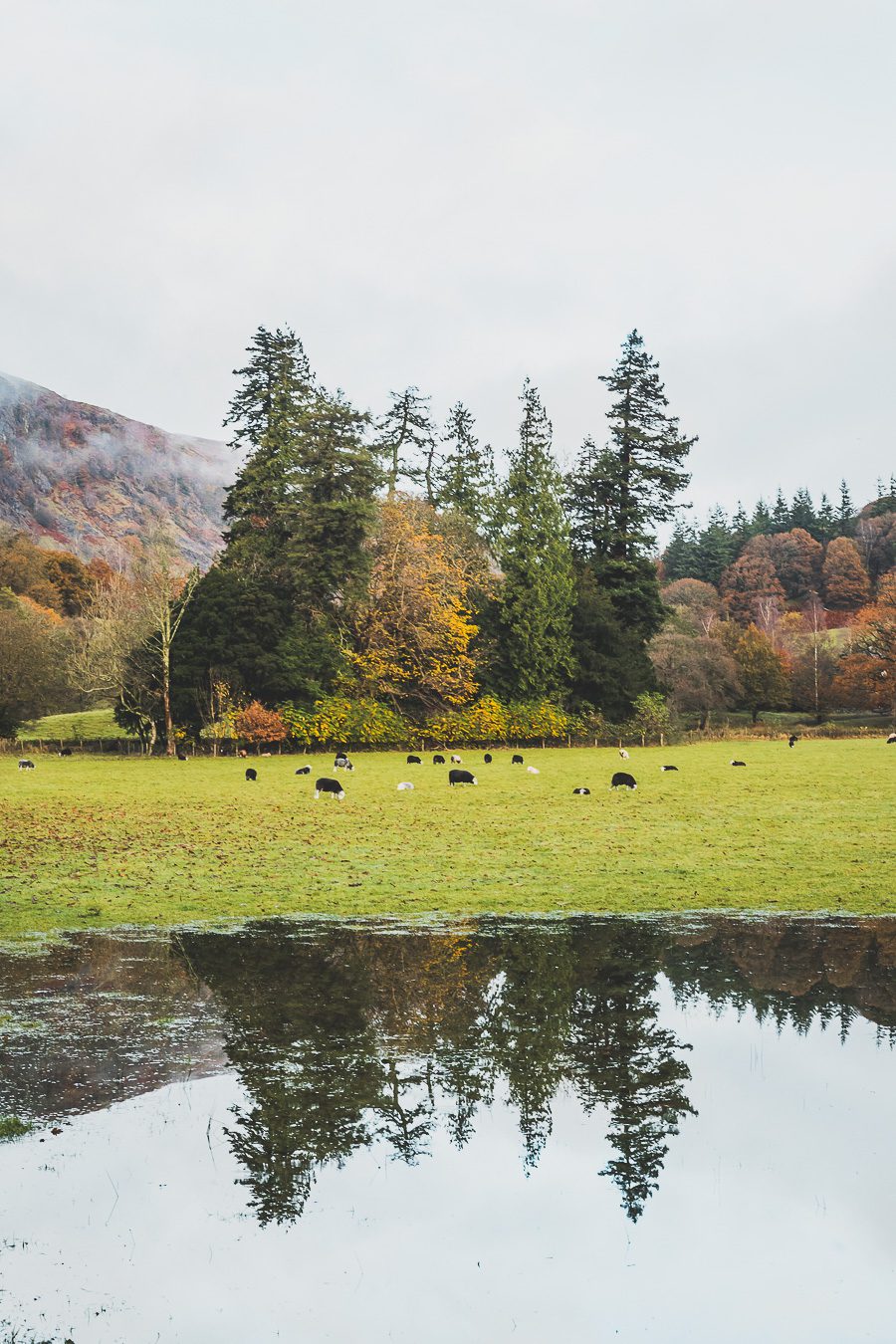 Découvrez les merveilles de l’Angleterre à travers un road trip inoubliable ! Parcourez le Nord de l’Angleterre, explorez le Lake District et le Peak District, et laissez-vous séduire par les paysages époustouflants et monuments emblématiques du Royaume-Uni. Que vous soyez en van, en famille ou entre amis, ce voyage promet des souvenirs uniques. Cliquez pour préparer votre prochaine aventure et vivez la magie d’un road trip en Europe dès maintenant !