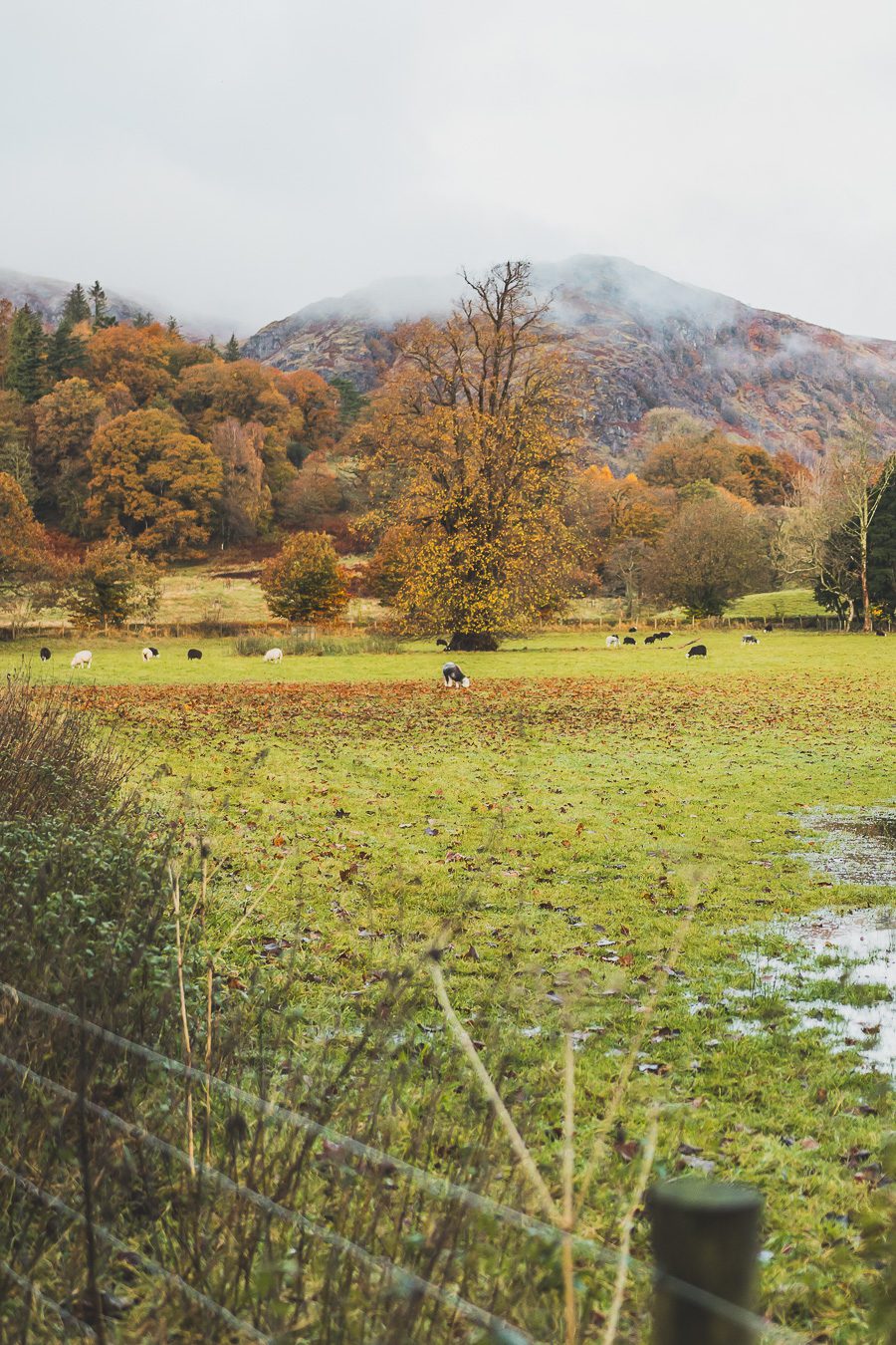 Découvrez les merveilles de l’Angleterre à travers un road trip inoubliable ! Parcourez le Nord de l’Angleterre, explorez le Lake District et le Peak District, et laissez-vous séduire par les paysages époustouflants et monuments emblématiques du Royaume-Uni. Que vous soyez en van, en famille ou entre amis, ce voyage promet des souvenirs uniques. Cliquez pour préparer votre prochaine aventure et vivez la magie d’un road trip en Europe dès maintenant !