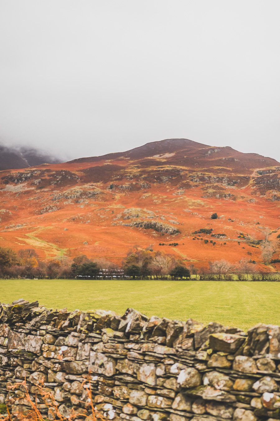 Découvrez les merveilles de l’Angleterre à travers un road trip inoubliable ! Parcourez le Nord de l’Angleterre, explorez le Lake District et le Peak District, et laissez-vous séduire par les paysages époustouflants et monuments emblématiques du Royaume-Uni. Que vous soyez en van, en famille ou entre amis, ce voyage promet des souvenirs uniques. Cliquez pour préparer votre prochaine aventure et vivez la magie d’un road trip en Europe dès maintenant !