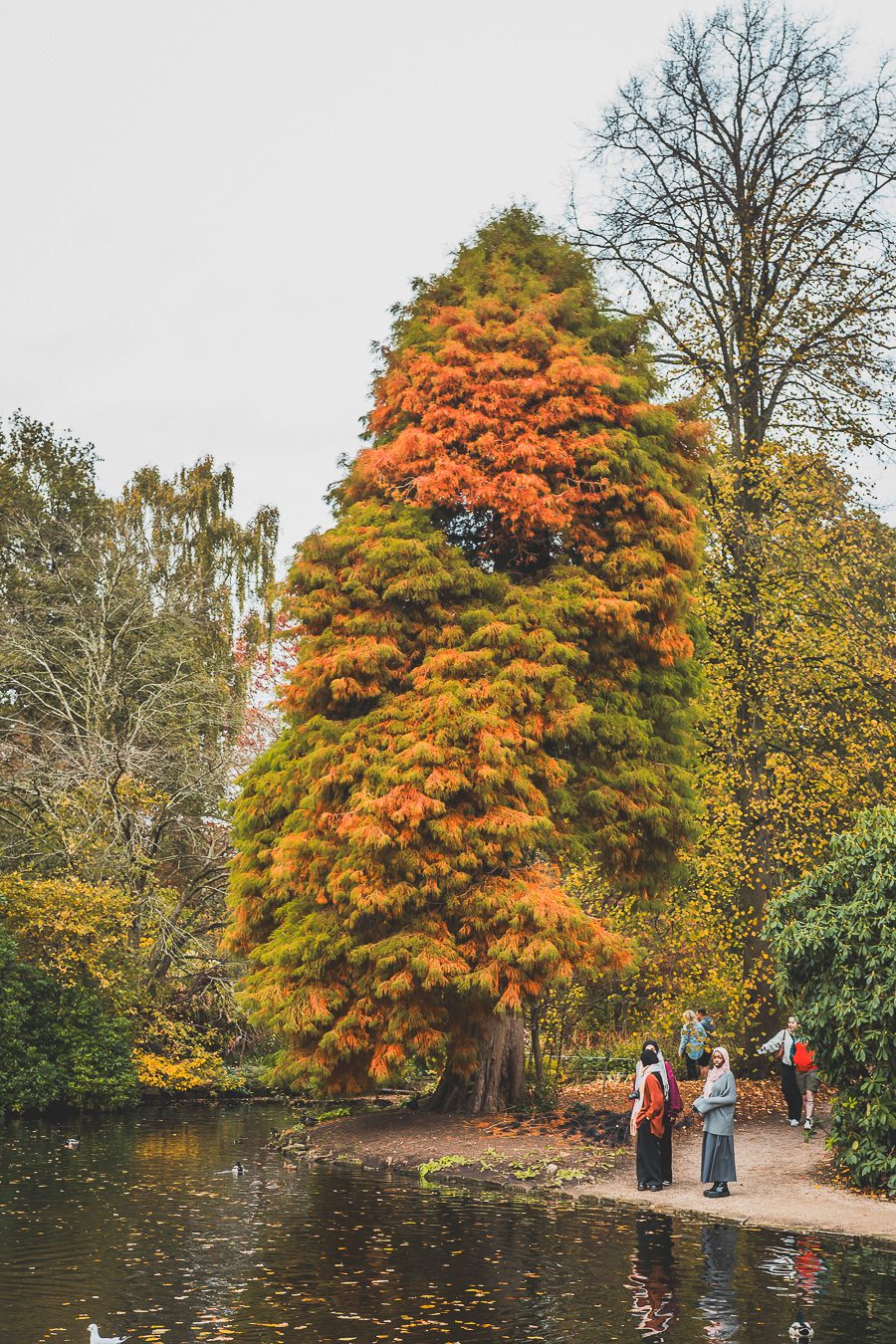 Découvrez les merveilles de l’Angleterre à travers un road trip inoubliable ! Parcourez le Nord de l’Angleterre, explorez le Lake District et le Peak District, et laissez-vous séduire par les paysages époustouflants et monuments emblématiques du Royaume-Uni. Que vous soyez en van, en famille ou entre amis, ce voyage promet des souvenirs uniques. Cliquez pour préparer votre prochaine aventure et vivez la magie d’un road trip en Europe dès maintenant !