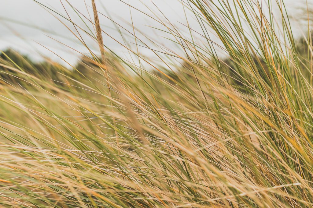 Formby beach