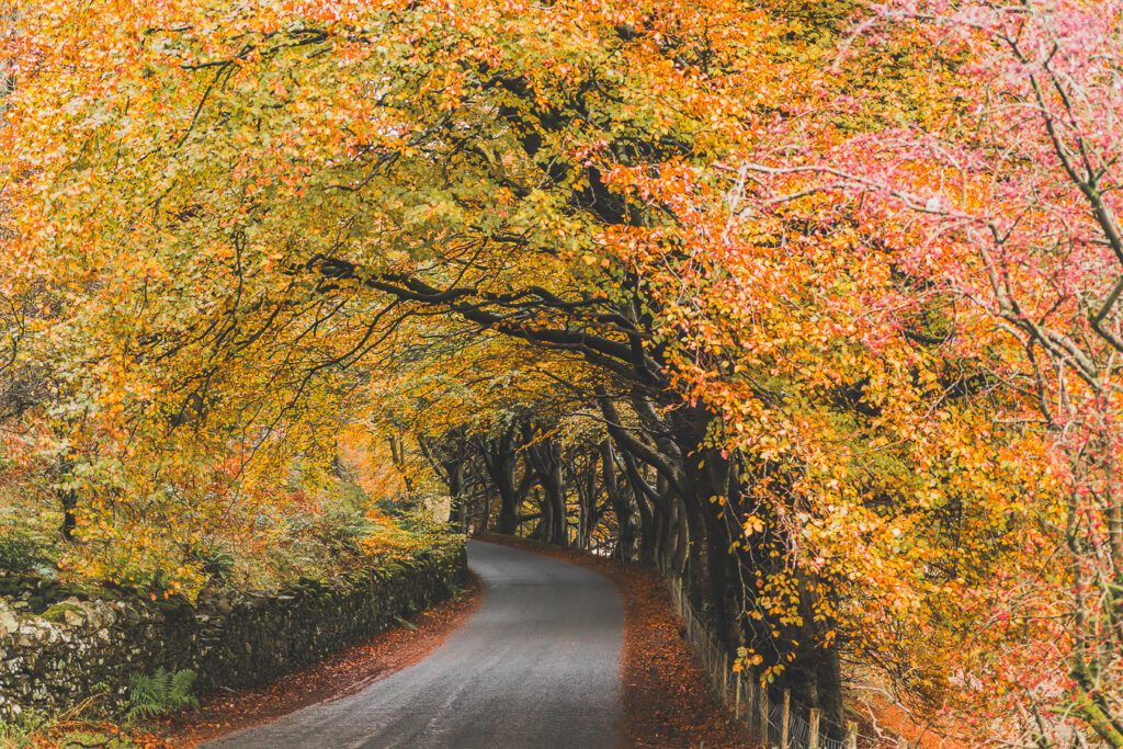 Lake district National Park