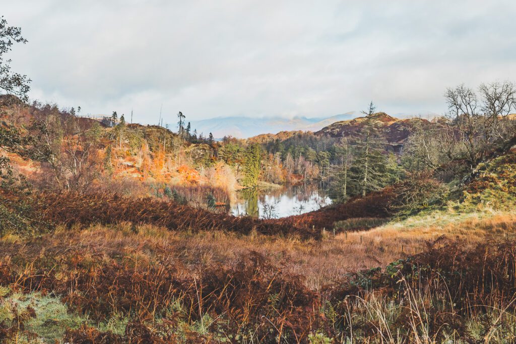 Loughrigg Tarn