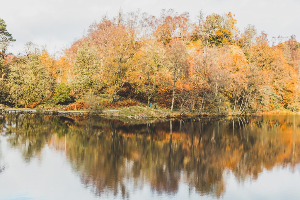 Loughrigg Tarn