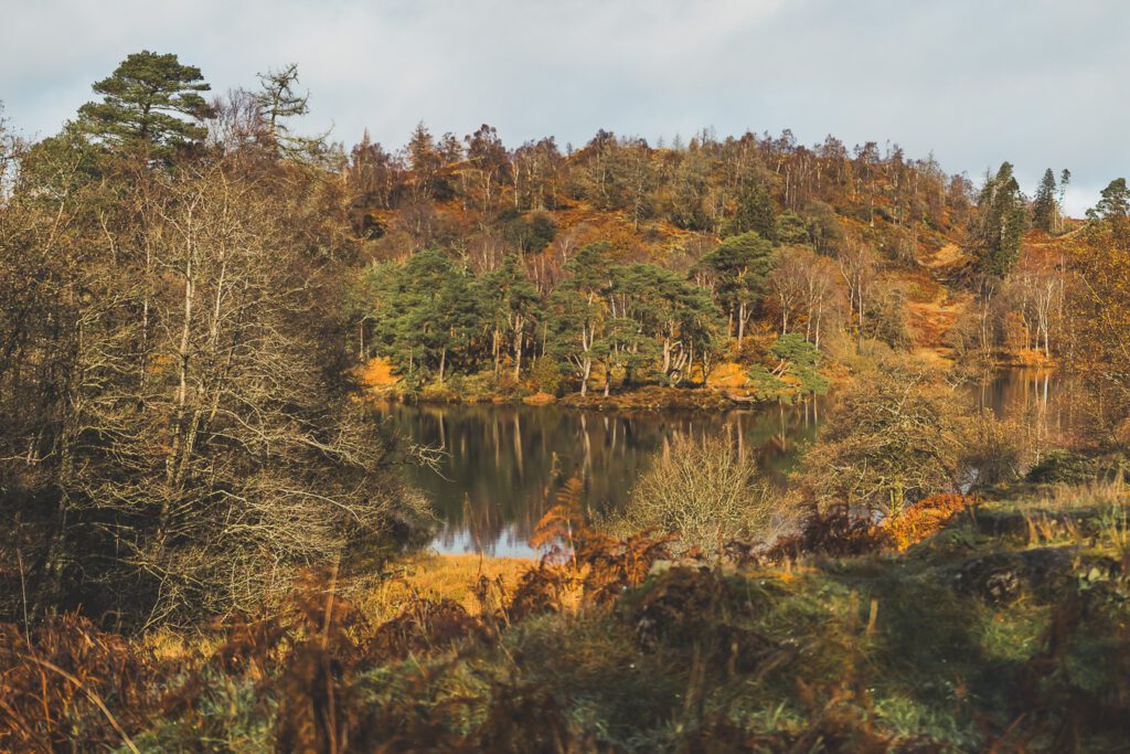 Loughrigg Tarn hike