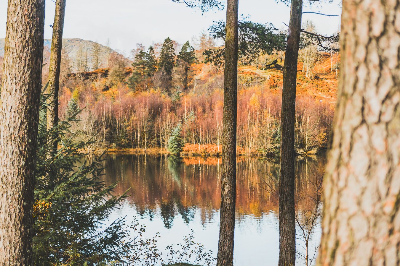 Loughrigg Tarn