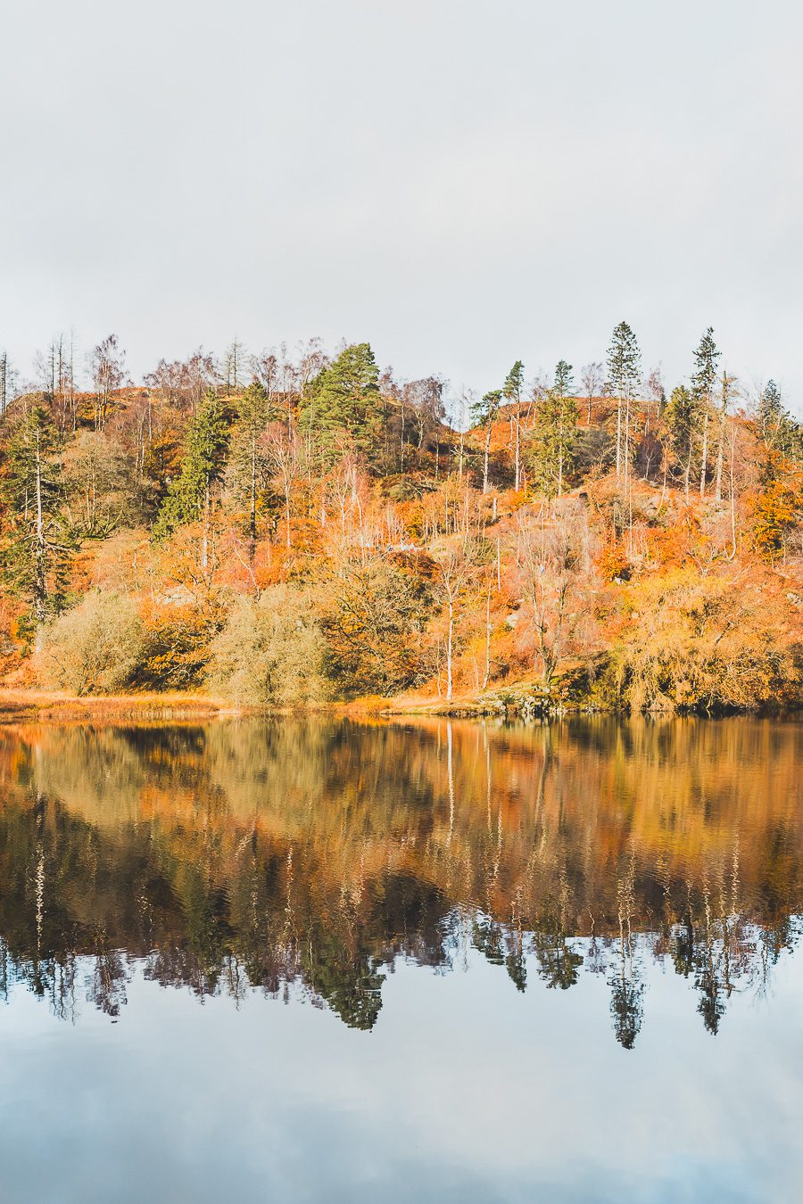 Découvrez les merveilles de l’Angleterre à travers un road trip inoubliable ! Parcourez le Nord de l’Angleterre, explorez le Lake District et le Peak District, et laissez-vous séduire par les paysages époustouflants et monuments emblématiques du Royaume-Uni. Que vous soyez en van, en famille ou entre amis, ce voyage promet des souvenirs uniques. Cliquez pour préparer votre prochaine aventure et vivez la magie d’un road trip en Europe dès maintenant !