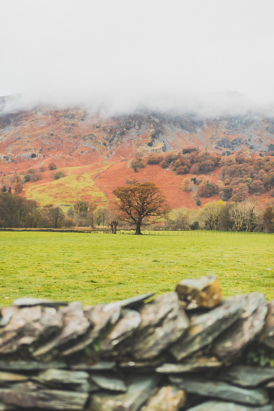 Découvrez les merveilles de l’Angleterre à travers un road trip inoubliable ! Parcourez le Nord de l’Angleterre, explorez le Lake District et le Peak District, et laissez-vous séduire par les paysages époustouflants et monuments emblématiques du Royaume-Uni. Que vous soyez en van, en famille ou entre amis, ce voyage promet des souvenirs uniques. Cliquez pour préparer votre prochaine aventure et vivez la magie d’un road trip en Europe dès maintenant !