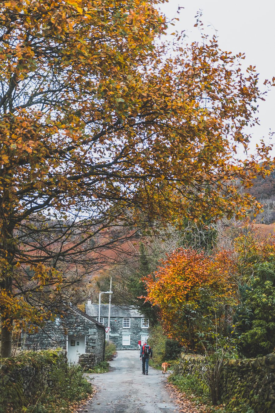 Découvrez les merveilles de l’Angleterre à travers un road trip inoubliable ! Parcourez le Nord de l’Angleterre, explorez le Lake District et le Peak District, et laissez-vous séduire par les paysages époustouflants et monuments emblématiques du Royaume-Uni. Que vous soyez en van, en famille ou entre amis, ce voyage promet des souvenirs uniques. Cliquez pour préparer votre prochaine aventure et vivez la magie d’un road trip en Europe dès maintenant !