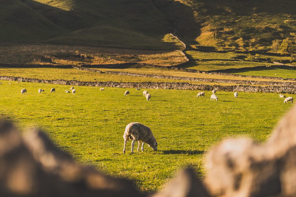 Peak district